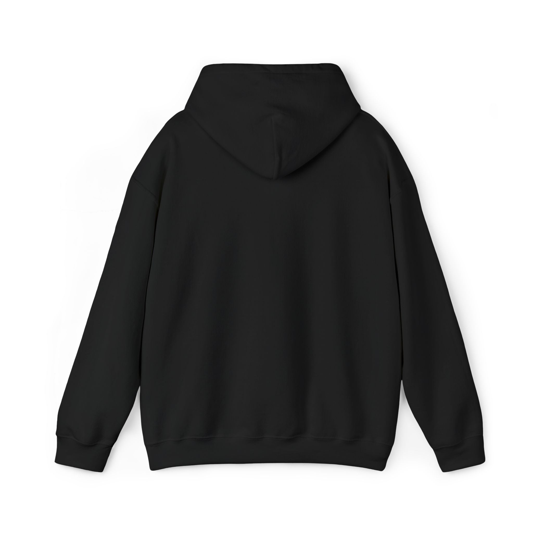 Watermelon Slice Embroidered Hoodie - Cute Summer Fruit Graphic Sweatshirt