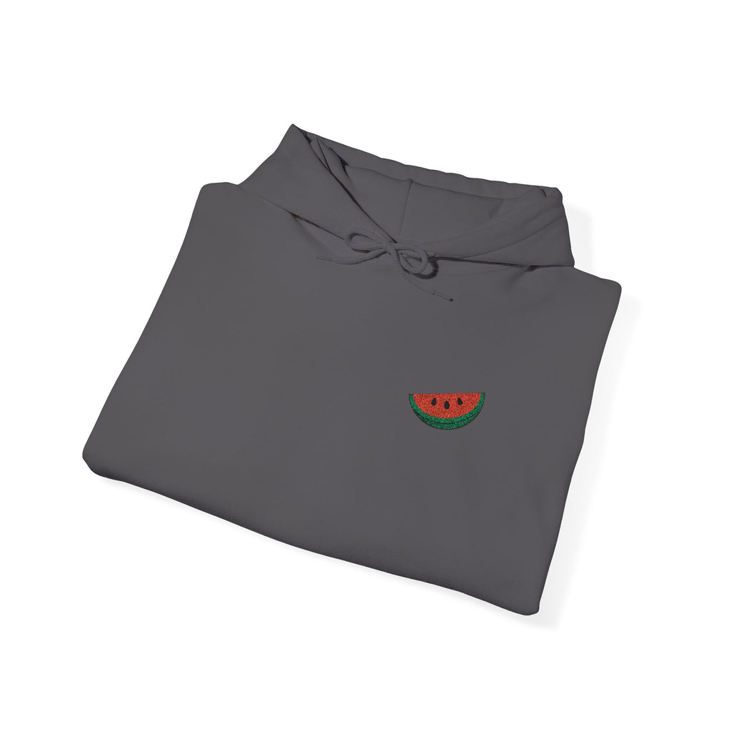 Watermelon Slice Embroidered Hoodie - Cute Summer Fruit Graphic Sweatshirt